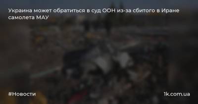 Евгений Енин - Украина может обратиться в суд ООН из-за сбитого в Иране самолета МАУ - 1k.com.ua - Украина - Иран