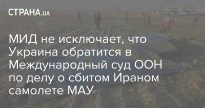 Евгений Енин - МИД не исключает, что Украина обратится в Международный суд ООН по делу о сбитом Ираном самолете МАУ - strana.ua - Украина - Иран