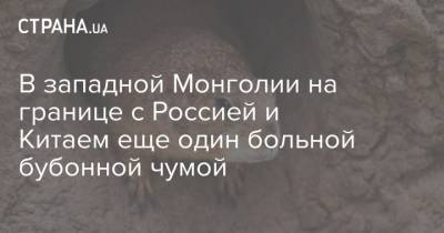 В западной Монголии на границе с Россией и Китаем третий больной бубонной чумой - strana.ua - Россия - Китай - Монголия