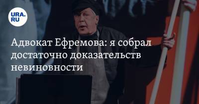 Михаил Ефремов - Эльман Пашаев - Адвокат Ефремова: я собрал достаточно доказательств невиновности - ura.news - Москва - Россия