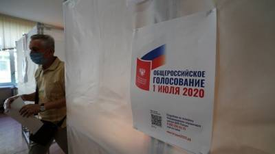 МВД выявило попытки внешнего вмешательства в голосование по поправкам в Конституцию - 5-tv.ru - Россия