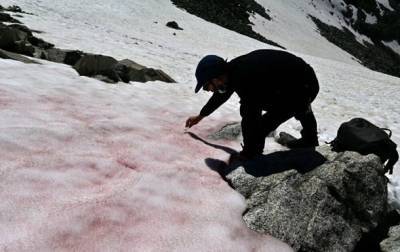 В итальянских Альпах появился розовый лед - korrespondent.net