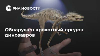 Обнаружен крохотный предок динозавров - ria.ru - Москва - Мадагаскар