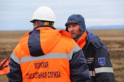 Росприроднадзор оценил ущерб от аварии в Норильске в 147,8 млрд рублей - interfax-russia.ru - Норильск