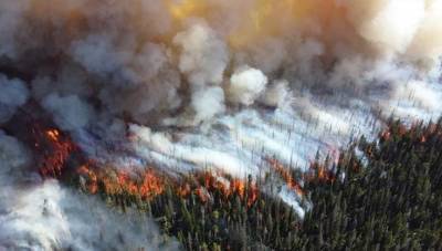 В Бурятии с лесными пожарами сражаются более 600 человек - vesti.ru - Россия - респ.Бурятия - Байкальск - Селенгинск