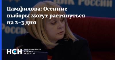 Элла Памфилова - Памфилова: Осенние выборы могут растянуться на 2-3 дня - nsn.fm - Россия