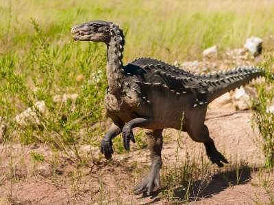 Крохотного предка динозавров обнаружили ученые - live24.ru - Мадагаскар