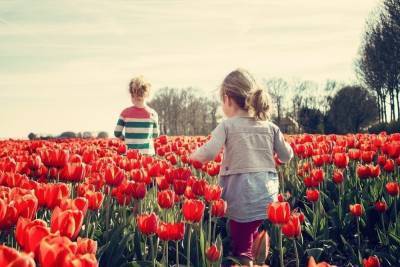 Чиновник семьям с 3-7-летними детьми: При одобренном заявлении деньги будут - mk-pskov.ru - Псковская обл. - Псков
