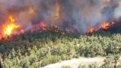 Бекир Пакдемирли - США и Турцию охватили лесные пожары, перекрыт пролив Дарданеллы - inform-ua.info - США - Турция