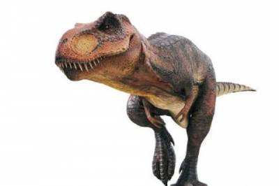 Ученые нашли останки маленького динозаврика - mignews.com.ua - Южная Корея - Мадагаскар