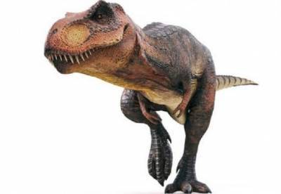 Генрих VIII (Viii) - На Мадагаскаре обнаружили маленького предка динозавров - facenews.ua - Украина - Ирландия - Мадагаскар