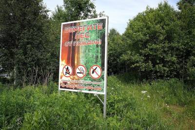 В Екатеринбурге с началом аномальной жары отменен противопожарный режим - znak.com - Екатеринбург