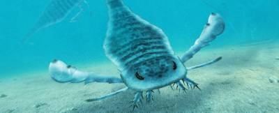 В древних океанах жили морские скорпионы-гиганты - inform-ua.info - Австралия