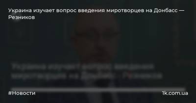 Алексей Резников - Украина изучает вопрос введения миротворцев на Донбасс — Резников - 1k.com.ua - Украина