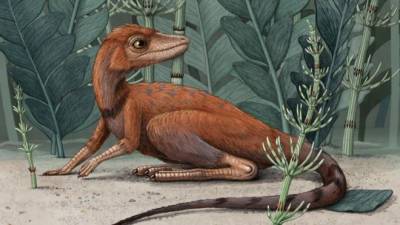 Гроза мух и жуков. Ученые нашли крошечного предка динозавров - focus.ua - США - Нью-Йорк - шт.Северная Каролина - Мадагаскар