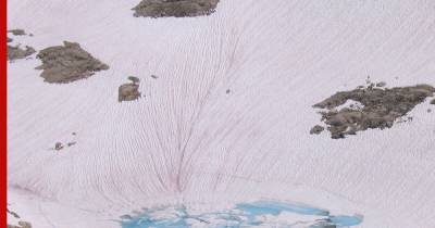 Альпы покрылись розовым снегом - profile.ru - Италия - Гренландия