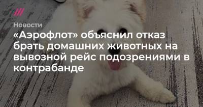 «Аэрофлот» объяснил отказ брать домашних животных на вывозной рейс подозрениями в контрабанде - tvrain.ru - Шанхай
