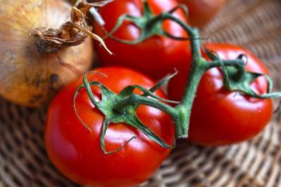 Хороший урожай томатов требует особого ухода в июле — секреты - pravda-tv.ru - Россия