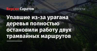 Упавшие из-за урагана деревья полностью остановили работу двух трамвайных маршрутов - nversia.ru - Саратов