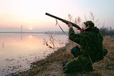 Охотники смогут принимать участие в регулировании численности животных - pnp.ru