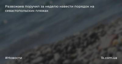 Михаил Развожаев - Развожаев - Развожаев поручил за неделю навести порядок на севастопольских пляжах - 1k.com.ua - Севастополь