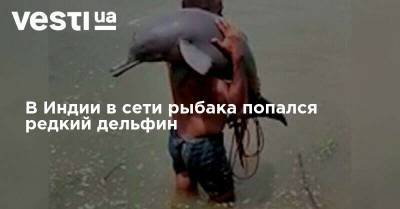 В Индии в сети рыбака попался редкий дельфин - vesti.ua - Украина - Индия - Стамбул
