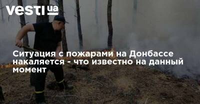 Татьяна Погукай - Ситуация с пожарами на Донбассе накаляется - что известно на данный момент - vesti.ua - Северодонецк - Донбасс