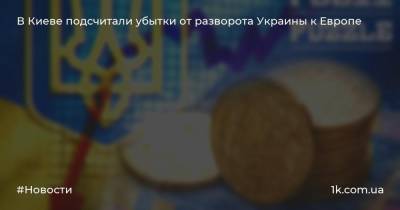 Виктор Скаршевский - В Киеве подсчитали убытки от разворота Украины к Европе - 1k.com.ua - Украина - Киев