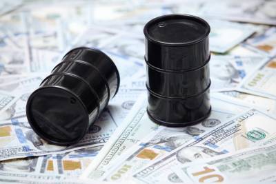 Ангела Меркель - Эммануэль Макрон - Die Presse: Российские нефть, газ и сталь под ударом из-за нового налога в ЕС - ghall.com.ua - Австрия - Германия