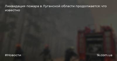 Татьяна Погукай - Ликвидация пожара в Луганской области продолжается: что известно - 1k.com.ua - Украина - Луганская обл.