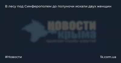 Сергей Шахов - В лесу под Симферополем до полуночи искали двух женщин - 1k.com.ua - Россия - Крым - Симферополь - район Симферопольский