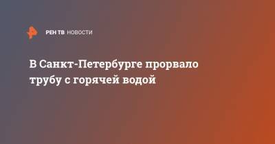 В Санкт-Петербурге прорвало трубу с горячей водой - ren.tv - Санкт-Петербург
