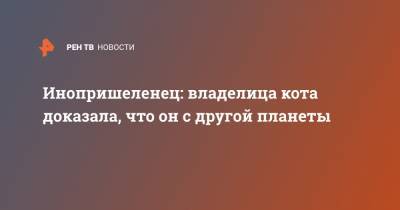 Инопришеленец: владелица кота доказала, что он с другой планеты - ren.tv