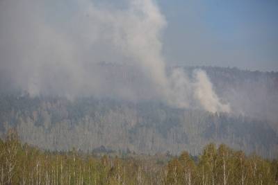 Наталья Мамаева - Пожар в Ильменском заповеднике перерос в уголовное дело - znak.com - Миасс