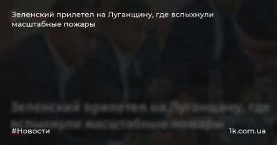 Владимир Зеленский - Арсен Аваков - Зеленский прилетел на Луганщину, где вспыхнули масштабные пожары - 1k.com.ua - Украина - Луганская обл. - район Новоайдарский