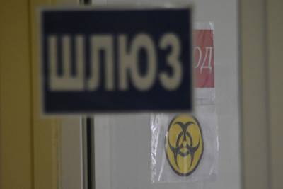 Воронежские власти объяснили высокую смертность от COVID-19 - moe-online.ru - Россия - Воронежская обл.