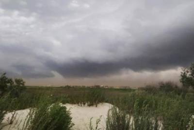 В Одесской области мощную песчаную бурю сняли на видео - mignews.com.ua - Одесская обл.