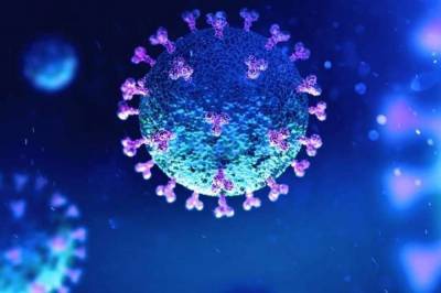 Константин Чумаков - “Пандемия коронавируса может угаснуть до появления вакцины” - aze.az - Россия - США