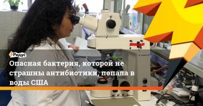 Опасная бактерия, которой не страшны антибиотики, попала в воды США - ridus.ru - США