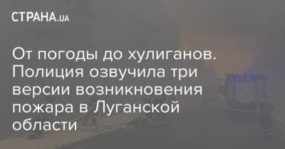 Игорь Клименко - От погоды до хулиганов. Полиция озвучила три версии возникновения пожара в Луганской области - strana.ua - Украина - Луганская обл.