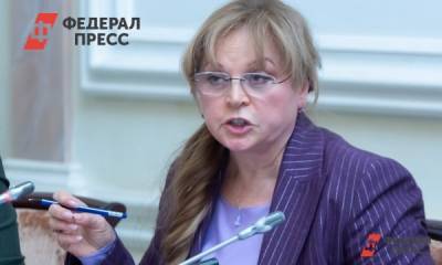 Элла Памфилова - Памфилова: ЦИК продолжит публично разоблачать фейки политических «содержанок» - fedpress.ru - Москва