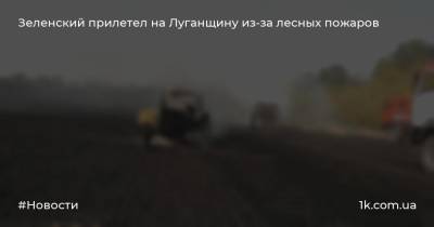 Владимир Зеленский - Арсен Аваков - Андрей Ермак - Зеленский прилетел на Луганщину из-за лесных пожаров - 1k.com.ua - Украина - Луганская обл. - район Новоайдарский