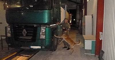 В Советске служебная собака нашла в кабине дальнобойщика 980 пачек нелегальных сигарет (фото) - klops.ru - Белоруссия - Литва - Советск - Черняховск - Minsk