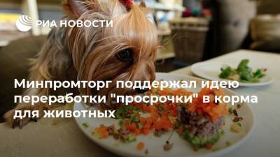Владимир Бурматов - Виктор Евтухов - Минпромторг поддержал идею переработки "просрочки" в корма для животных - ria.ru - Москва - Россия