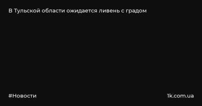 В Тульской области ожидается ливень с градом - 1k.com.ua - Украина - Тула - Тульская обл. - район Киреевский