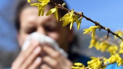 Эксперты рассказали о влиянии аллергии на течение COVID-19 - iz.ru - Уральск