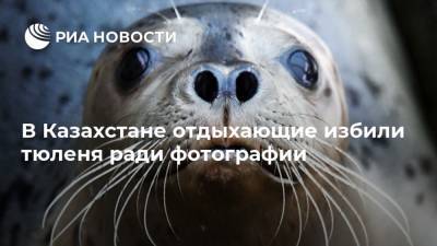 В Казахстане отдыхающие избили тюленя ради фотографии - ria.ru - Казахстан - Мангистауская обл.