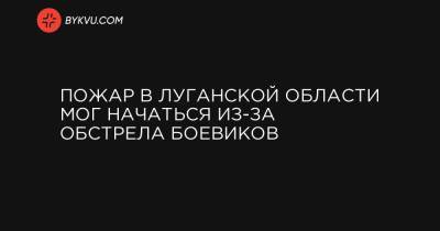 Владимир Зеленский - Игорь Клименко - Пожар в Луганской области мог начаться из-за обстрела боевиков - bykvu.com - Украина - Луганская обл.