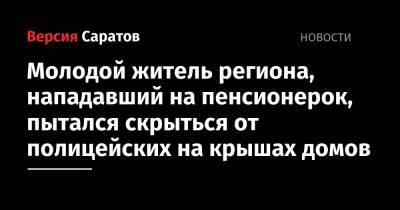 Молодой житель региона, нападавший на пенсионерок, пытался скрыться от полицейских на крышах домов - nversia.ru - Воронеж - Саратовская обл. - Воронежская обл.