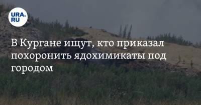 Александр Ткаченко - В Кургане ищут, кто приказал похоронить ядохимикаты под городом - ura.news
